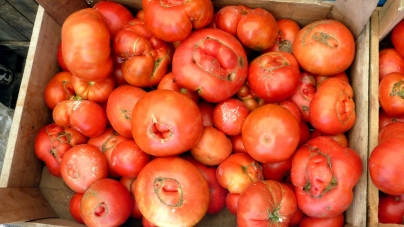 Stop au gaspillage alimentaire