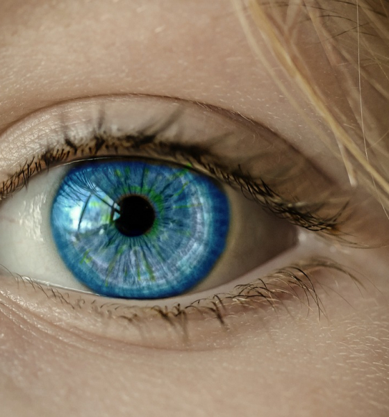 Comment entretenir ses lentilles ?