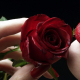 Idée de cadeau glamour : la rose éternelle