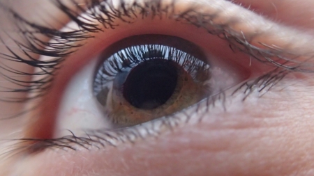 Lentilles, quand les hommes s’y mettent aussi