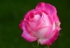 Le printemps est à la porte, quel parfum à porter ?