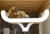 Pourquoi choisir un arbre à chat design pour la maison ?