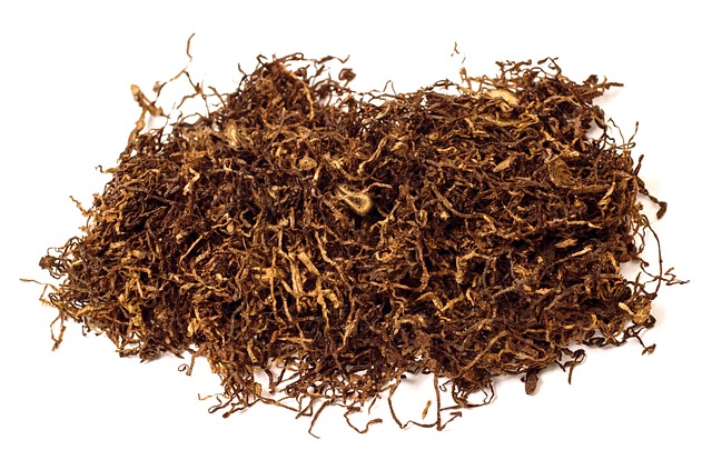 tobacco