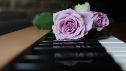 7 idées uniques pour la célébration de la vie
