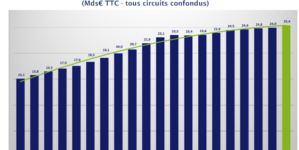 Quel est le futur du marché du bricolage en France ?