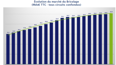 Quel est le futur du marché du bricolage en France ?