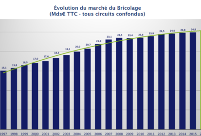 Quel est le futur du marché du bricolage en France ?